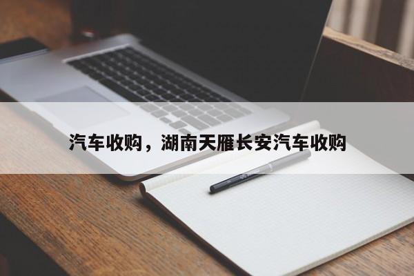 汽车收购，湖南天雁长安汽车收购