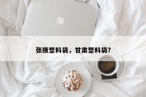 张掖塑料袋，甘肃塑料袋？