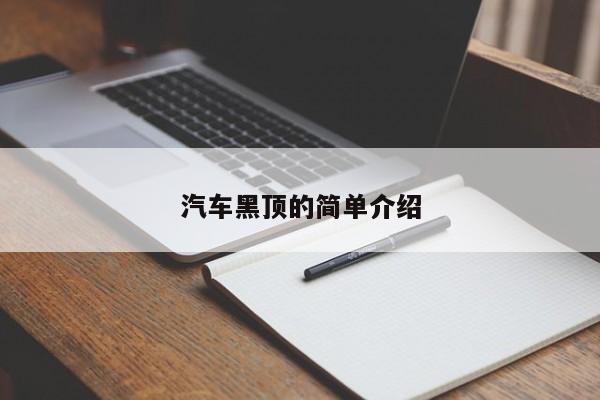 汽车黑顶的简单介绍