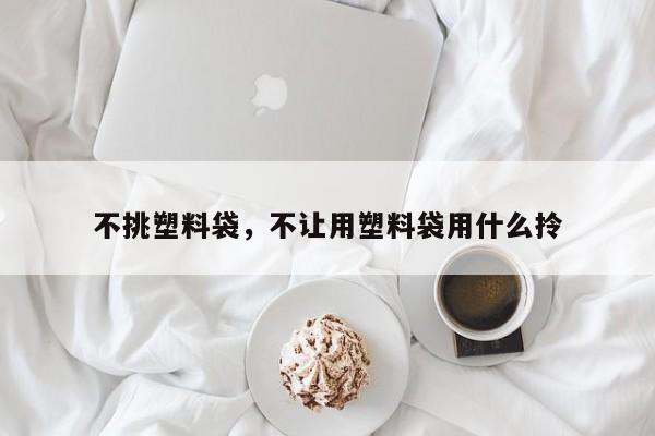 不挑塑料袋，不让用塑料袋用什么拎