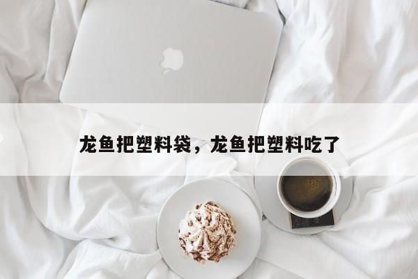 龙鱼把塑料袋，龙鱼把塑料吃了