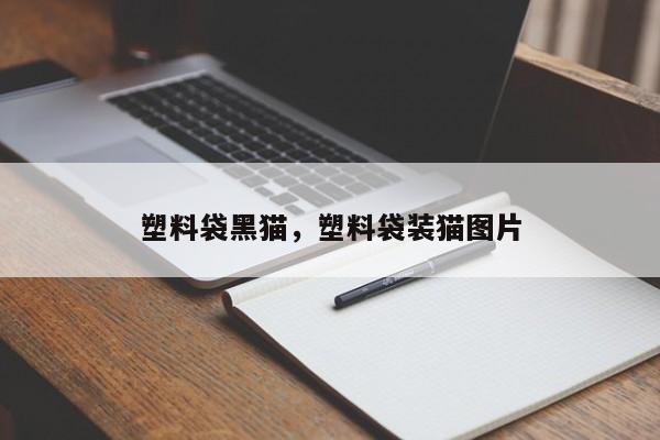 塑料袋黑猫，塑料袋装猫图片