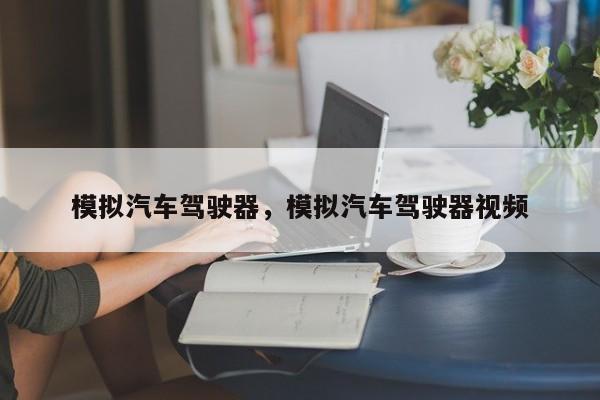 模拟汽车驾驶器，模拟汽车驾驶器视频