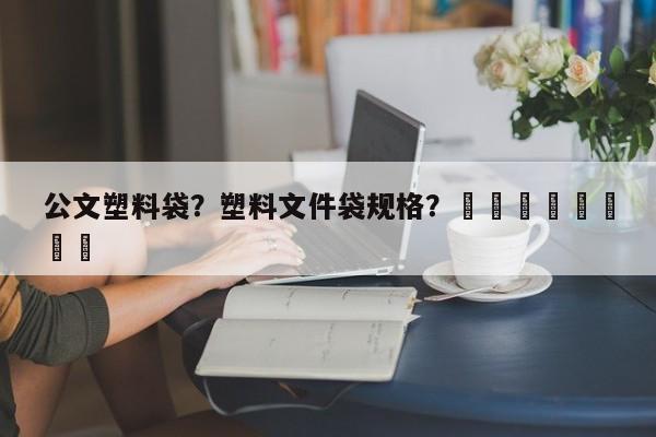 公文塑料袋？塑料文件袋规格？								